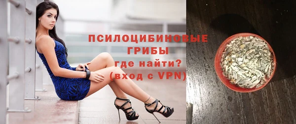 дурь Богданович