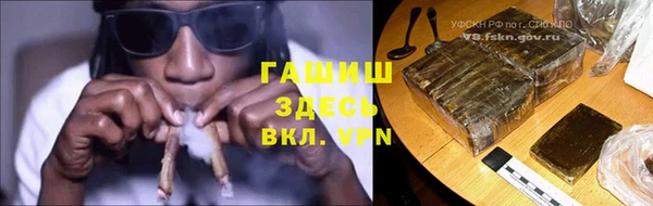 мдпв Богородск