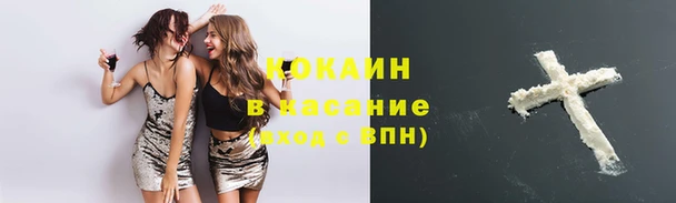 мдпв Богородск