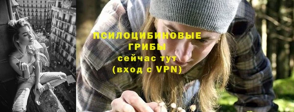 мдпв Богородск