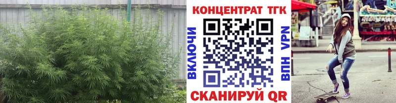 даркнет сайт  Арзамас  Дистиллят ТГК THC oil 