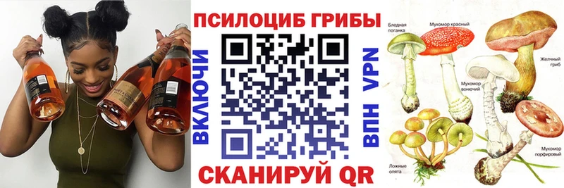купить закладку  Арзамас  Галлюциногенные грибы Magic Shrooms 
